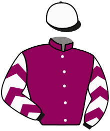 casaque portée par Chevillard T. jockey du cheval de course INSIDE MONTLIOUX, information pmu ZETURF