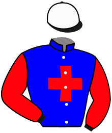casaque portée par Lepage Axe. jockey du cheval de course JOEE, information pmu ZETURF