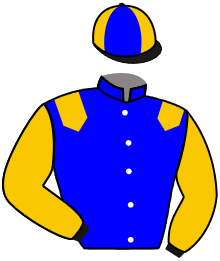 casaque portée par Sanchez Gar. jockey du cheval de course ODIN, information pmu ZETURF
