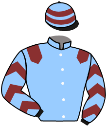 casaque portée par Beaurain T. jockey du cheval de course LOU CLAOU, information pmu ZETURF casaque portée par Beaurain T. jockey du cheval de course LOU CLAOU, information pmu ZETURF