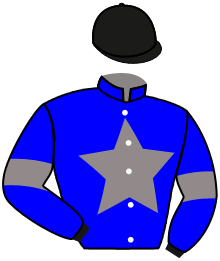 casaque portée par Mekouche Mlle A. jockey du cheval de course SEGERA, information pmu ZETURF
