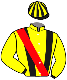 casaque portée par Madamet A. jockey du cheval de course JUST FOR GAB'S, information pmu ZETURF casaque portée par Madamet A. jockey du cheval de course JUST FOR GAB'S, information pmu ZETURF