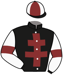 casaque portée par Auvray M. jockey du cheval de course IVAN DU JAYLE, information pmu ZETURF casaque portée par Auvray M. jockey du cheval de course IVAN DU JAYLE, information pmu ZETURF