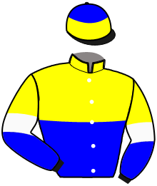 casaque portée par Lagadeuc F. jockey du cheval de course FOXY LADY BI, information pmu ZETURF casaque portée par Lagadeuc F. jockey du cheval de course FOXY LADY BI, information pmu ZETURF
