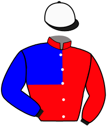 casaque portée par Martens C. jockey du cheval de course ELECTRA ZS, information pmu ZETURF casaque portée par Martens C. jockey du cheval de course ELECTRA ZS, information pmu ZETURF