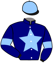 casaque portée par Saout Mlle C. jockey du cheval de course IOLOTAN, information pmu ZETURF
