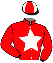 casaque portée par Cabos V. jockey du cheval de course LORINEA CUT, information pmu ZETURF