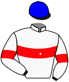 casaque portée par Guyon M. jockey du cheval de course ACT OF WISDOM, information pmu ZETURF