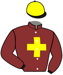 casaque portée par Quilleuc Le S. jockey du cheval de course VERMEER, information pmu ZETURF casaque portée par Quilleuc Le S. jockey du cheval de course VERMEER, information pmu ZETURF