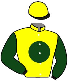 casaque portée par Mingant M. jockey du cheval de course LOU BET SAOU D'ANGOS, information pmu ZETURF