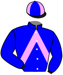 casaque portée par Olivier S. jockey du cheval de course LOKIE KADESH, information pmu ZETURF casaque portée par Olivier S. jockey du cheval de course LOKIE KADESH, information pmu ZETURF