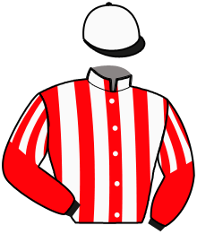 casaque portée par Raffin E. jockey du cheval de course DIABEL, information pmu ZETURF