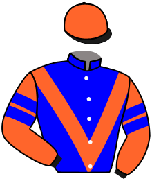 casaque portée par Boisseau L. jockey du cheval de course LE ROCKEUR, information pmu ZETURF casaque portée par Boisseau L. jockey du cheval de course LE ROCKEUR, information pmu ZETURF