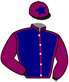 casaque portée par Lecoeuvre C. jockey du cheval de course EXCITING, information pmu ZETURF casaque portée par Lecoeuvre C. jockey du cheval de course EXCITING, information pmu ZETURF