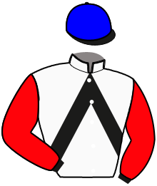 casaque portée par Cadoux C. jockey du cheval de course LOULOU CEMAX, information pmu ZETURF casaque portée par Cadoux C. jockey du cheval de course LOULOU CEMAX, information pmu ZETURF