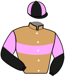 casaque portée par Gillet Jul. jockey du cheval de course KAELLE TURGOT, information pmu ZETURF casaque portée par Gillet Jul. jockey du cheval de course KAELLE TURGOT, information pmu ZETURF