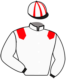 casaque portée par Pellan B. jockey du cheval de course GABY DU LOT, information pmu ZETURF casaque portée par Pellan B. jockey du cheval de course GABY DU LOT, information pmu ZETURF