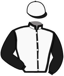 casaque portée par Touchard F. jockey du cheval de course GENIE D'ATTAQUE, information pmu ZETURF casaque portée par Touchard F. jockey du cheval de course GENIE D'ATTAQUE, information pmu ZETURF