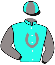 casaque portée par Flandrin B. jockey du cheval de course VIZINDI, information pmu ZETURF casaque portée par Flandrin B. jockey du cheval de course VIZINDI, information pmu ZETURF