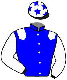 casaque portée par Boutin Hug. jockey du cheval de course ALAMSAR, information pmu ZETURF casaque portée par Boutin Hug. jockey du cheval de course ALAMSAR, information pmu ZETURF