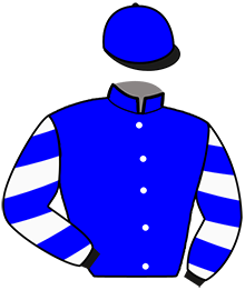 casaque portée par Raffin E. jockey du cheval de course MAT MANATHIS, information pmu ZETURF