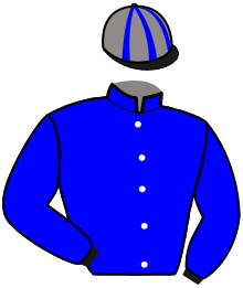 casaque portée par Ploquin Pau. Ph. jockey du cheval de course JENUFA, information pmu ZETURF