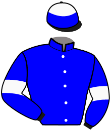 casaque portée par Smorgon M. jockey du cheval de course FIDELIS DANCE, information pmu ZETURF