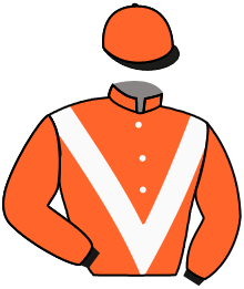 casaque portée par Guyon M. jockey du cheval de course IRINA, information pmu ZETURF