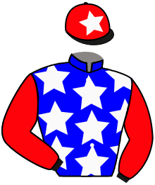 casaque portée par Besnier H. jockey du cheval de course SON VIDA, information pmu ZETURF casaque portée par Besnier H. jockey du cheval de course SON VIDA, information pmu ZETURF
