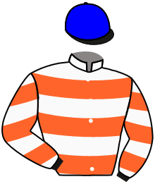casaque portée par Daifi Mme A. jockey du cheval de course DIVIDE AND RULE, information pmu ZETURF casaque portée par Daifi Mme A. jockey du cheval de course DIVIDE AND RULE, information pmu ZETURF