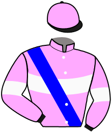 casaque portée par Lopes Duarte Nun. M. jockey du cheval de course SUN PROJECT, information pmu ZETURF casaque portée par Lopes Duarte Nun. M. jockey du cheval de course SUN PROJECT, information pmu ZETURF