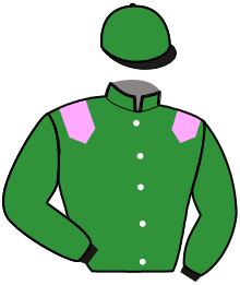 casaque portée par Martin G. jockey du cheval de course FOGO PICO, information pmu ZETURF casaque portée par Martin G. jockey du cheval de course FOGO PICO, information pmu ZETURF