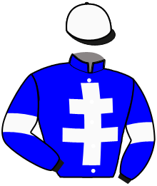 casaque portée par Martens C. jockey du cheval de course IVY METAL, information pmu ZETURF