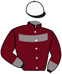 casaque portée par Barcelo Bisquerra Miq. J. jockey du cheval de course LUPINE DIESCHOOT, information pmu ZETURF