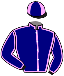 casaque portée par Lenault Mme Hél. jockey du cheval de course JIVAGO BLEU, information pmu ZETURF