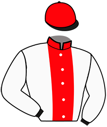 casaque portée par Grift Mme Bri. jockey du cheval de course HARING OKINA, information pmu ZETURF