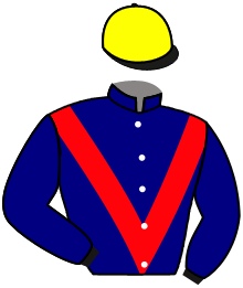 casaque portée par Vandamme Luc. jockey du cheval de course LOKO MOME, information pmu ZETURF