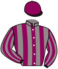 casaque portée par Chailloleau M. jockey du cheval de course KAOLIN, information pmu ZETURF