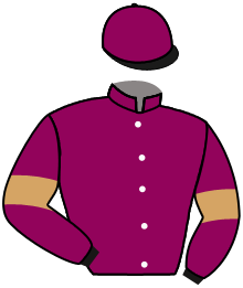 casaque portée par Lefebvre Mr C. jockey du cheval de course SPRING WAY, information pmu ZETURF