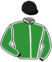 casaque portée par Lefebvre Mr C. jockey du cheval de course LYCAON DE BERCE, information pmu ZETURF