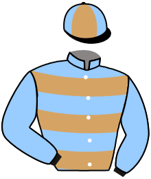 casaque portée par Chevillard T. jockey du cheval de course LEHAHIAH, information pmu ZETURF