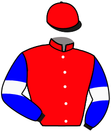 casaque portée par Seigneul A. jockey du cheval de course ADJALI, information pmu ZETURF
