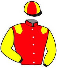 casaque portée par Mathias-maisonnette Mme Tam. jockey du cheval de course LIBERION D'ARJEANC, information pmu ZETURF