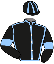 casaque portée par Broust F. jockey du cheval de course LINOTTE MANAZIF, information pmu ZETURF