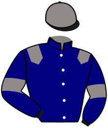 casaque portée par Heymans Mlle M. jockey du cheval de course LORENZO DU SERAN, information pmu ZETURF