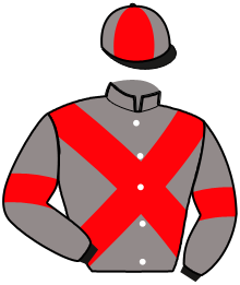 casaque portée par Mourot N. jockey du cheval de course KARAMAZOV, information pmu ZETURF