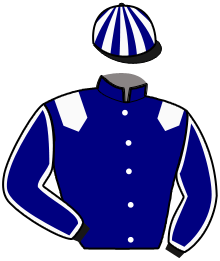 casaque portée par Maillard Jus. jockey du cheval de course L'ODYSSEE MESLOISE, information pmu ZETURF