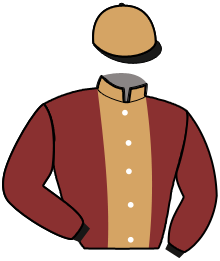 casaque portée par Ploquin Pau. Ph. jockey du cheval de course KEN FERFAY, information pmu ZETURF casaque portée par Ploquin Pau. Ph. jockey du cheval de course KEN FERFAY, information pmu ZETURF