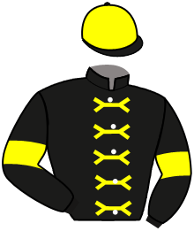 casaque portée par Marie Benj. jockey du cheval de course MILENA, information pmu ZETURF casaque portée par Marie Benj. jockey du cheval de course MILENA, information pmu ZETURF