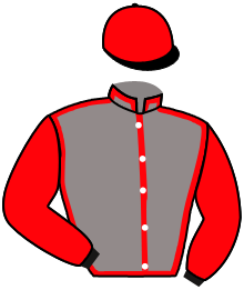 casaque portée par Besnier H. jockey du cheval de course BLANCHE SACREE, information pmu ZETURF casaque portée par Besnier H. jockey du cheval de course BLANCHE SACREE, information pmu ZETURF